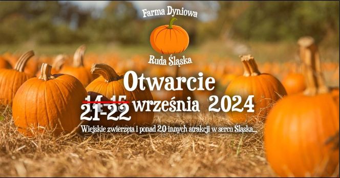 Otwarcie Farmy Dyniowej w Rudzie Śląskiej