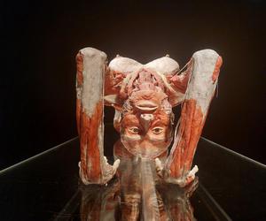 Wystawa Body Worlds w Szybie Wilson w Katowicach