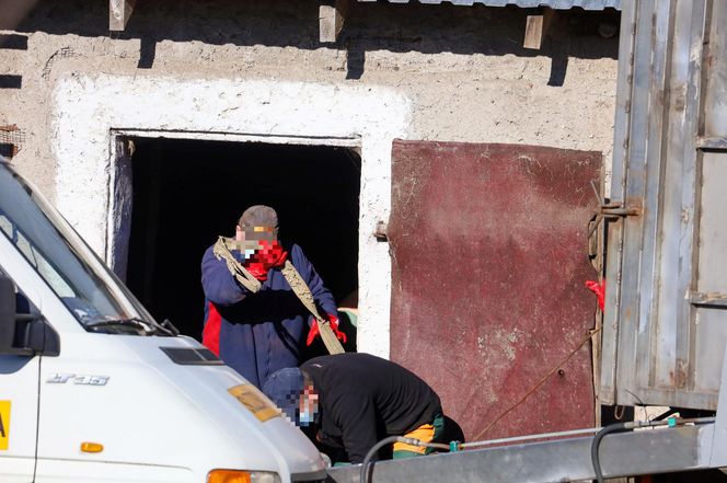 Potworny los zwierząt w Idzbarku. "To była umieralnia". Gospodarz usłyszał zarzuty!