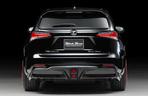 Lexus NX by Wald International