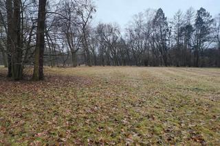 Festiwal Audioriver 2024. Co sądzą o nim łodzianie? Sprawdź, gdzie staną sceny [GALERIA]