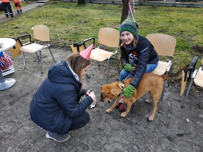 7 urodziny "Biegu na 6 łap" w Olsztynie