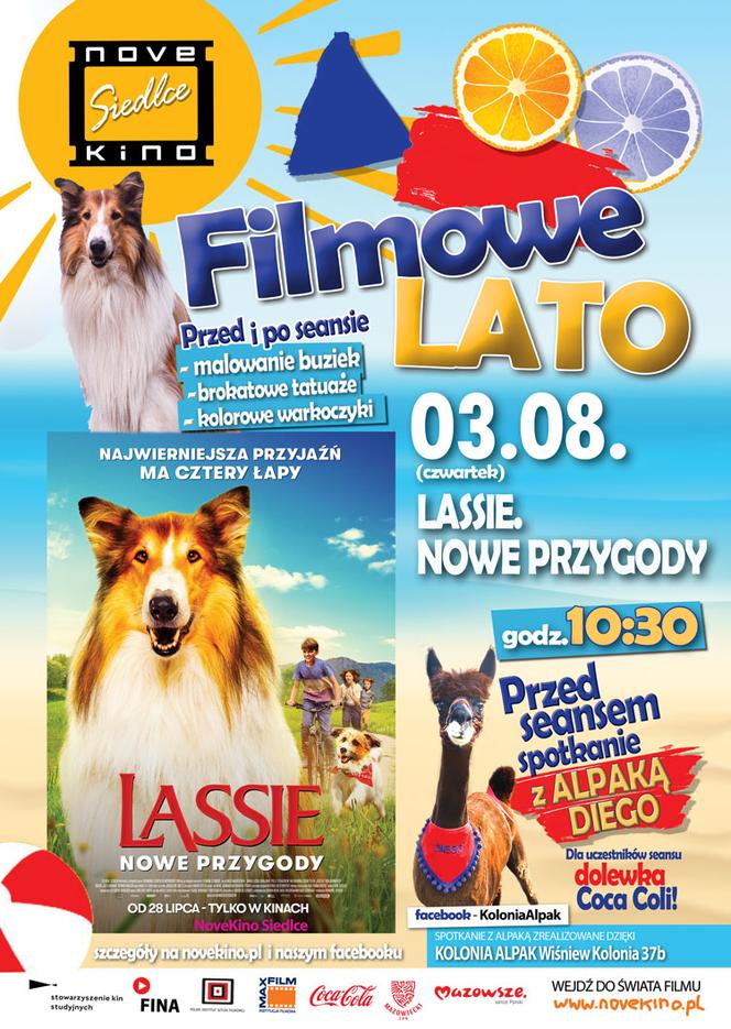 Novekino Siedlce zaprasza na film „Lassie. Nowe Przygody” w ramach cyklu Filmowe Lato