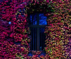 Protestowali przeciwko utworzeniu Centrum Integracji Cudzoziemców w Toruniu