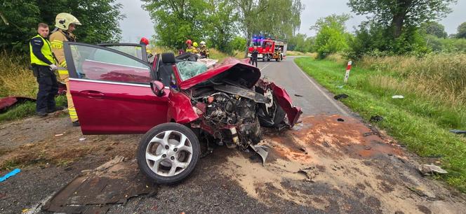 Makabryczny wypadek pod Szczecinem. Rozpędzone auto uderzyło w drzewo. Jedna osoba nie żyje, dwie są ranne