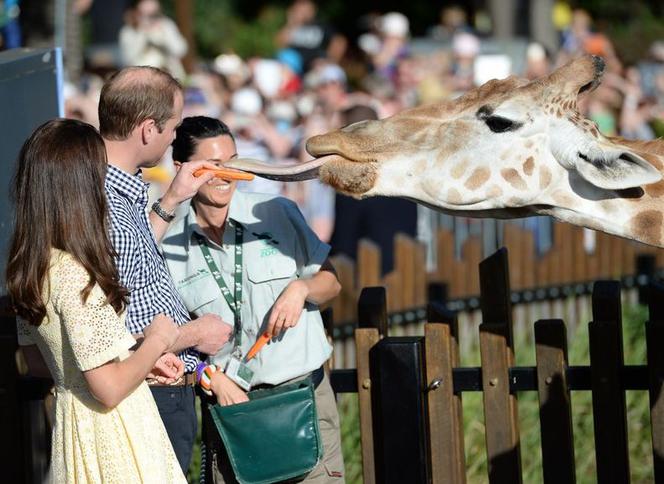 Księżna Kate w ZOO