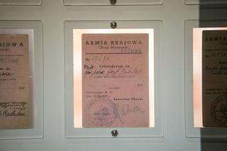 Sensacja w Muzeum Powstania Warszawskiego! Ktoś przyniósł kopertę z dokumentami, wartymi fortunę!