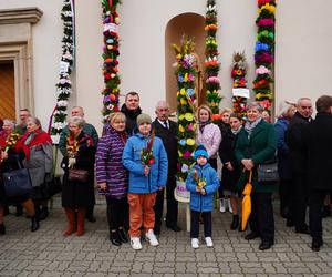 Rekordowe palmy i kiermasz świąteczny w Krynkach