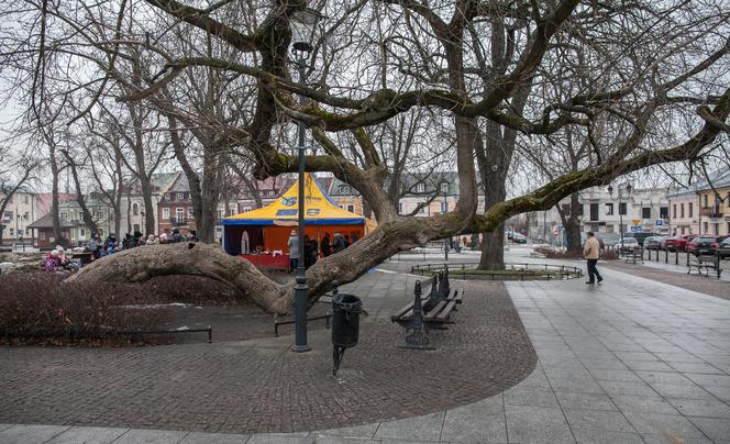 Polskie klony na europejskie salony