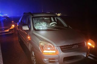 Tragiczna śmierć przedszkolanki z Bydgoszczy! Wszyscy w szoku. Justyna była wyjątkowym specjalistą