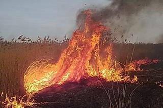 Ogromny pożar na Pojezierzu. Ogień objął pięć hektarów! Duże straty