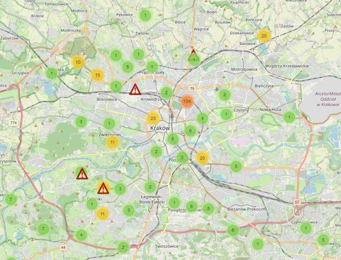 Interaktywna mapa kleszczy pokazuje, gdzie w Krakowie jest ich najwięcej