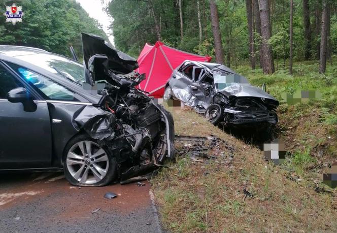 Tragiczny wypadek w pow. biłgorajskim. Starsza kobieta zginęła na miejscu 