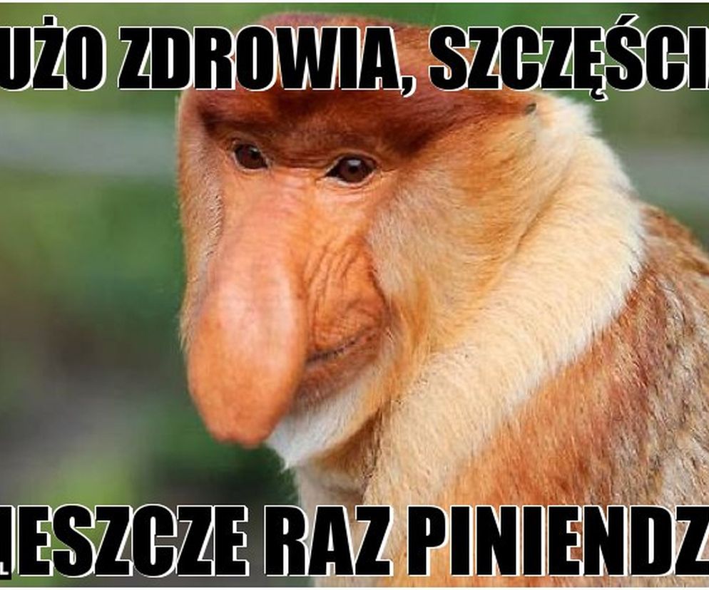 MEMY na urodziny! Zobacz najśmieszniejsze obrazki w internecie [GALERIA]