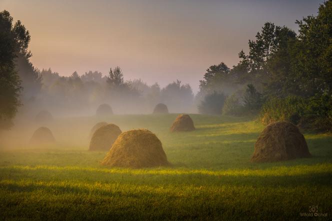 Mglisty poranek jak z baśni na Podkarpaciu: Te zdjęcia są magiczne [GALERIA]