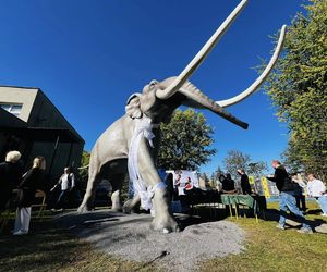 4-metrowy prehistoryczny gigant pod Warszawą. Jak się tam znalazł?
