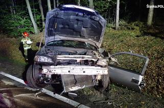 Koszmar. Zjechała z pasa i czołowo zderzyła się z oplem. Dwie osoby trafiły do szpitala