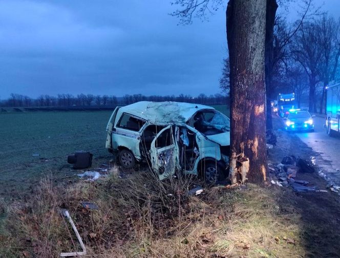 Dwóch 18-latków zginęło. Tragedia na drodze niedaleko Oleśnicy