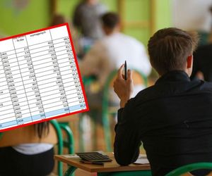 Matury 2025: Wyniki w Śląskiem. Jeden powiat fatalny