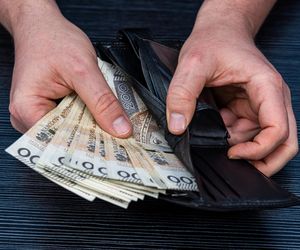 ZUS potwierdza nowe uprawnienie dla Polaków. Dla wielu to szansa na spokojną emeryturę przed czasem.