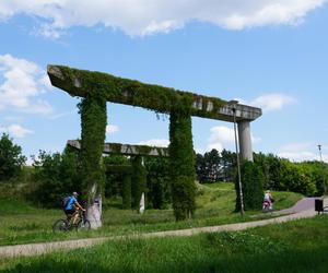 Lublin. „Filary porośnięte bluszczem” i nie tylko. Park Jana Pawła II w lipcowej odsłonie