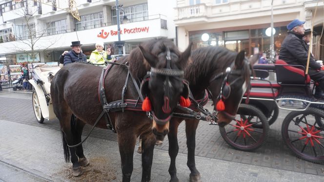 Wielka Szarża w centrum Łodzi. Oddziały konne przeszły przez Piotrkowską