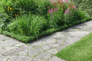 Ścieżka w ogrodzie