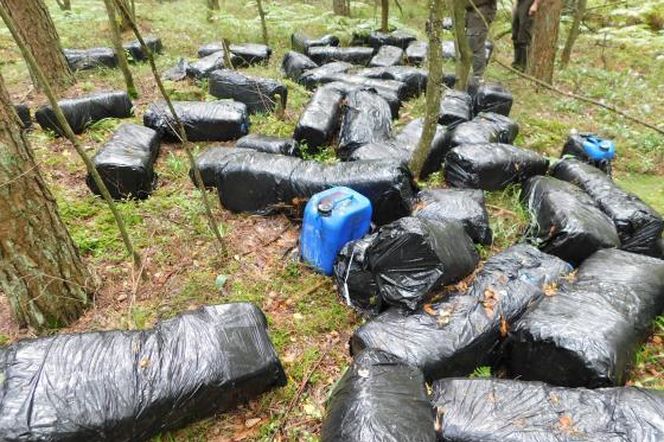 Alarm w lesie! Znaleziono niebezpieczne chemikalia. Toksyczna zbrodnia na Mazowszu