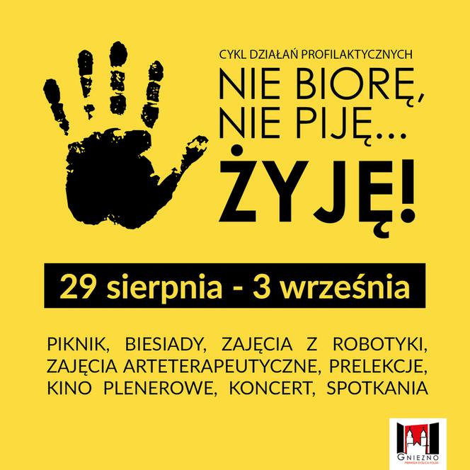 Kino letnie, warsztaty i koncerty… 