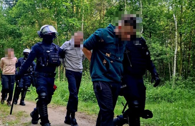 Ustawka udaremniona! Policjanci gonili kiboli po lesie!