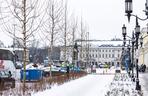 Nowe drzewa i krzewy na placu Bankowym w Warszawie, grudzień 2023 r.
