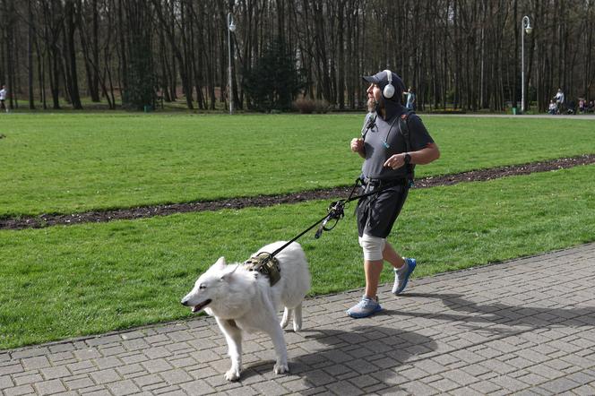 Parkrun Katowice. Wielkanocne bieganie w Parku Kościuszki