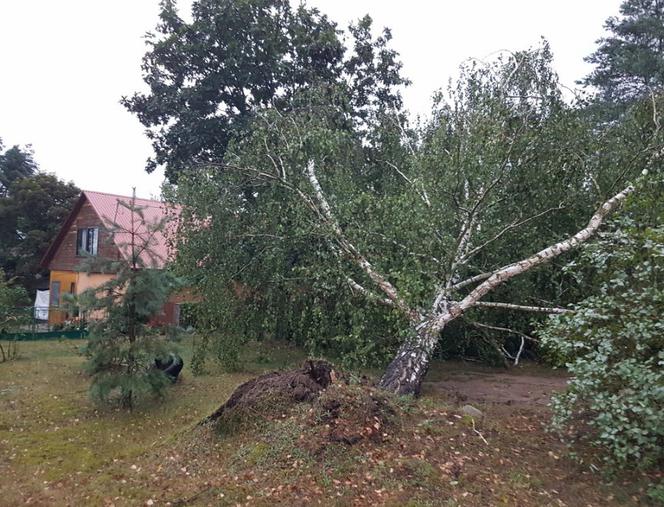 Nawałnica nad regionem radomskim