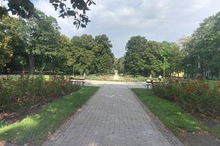 Najładniejsze parki w Łodzi. Sprawdź, gdzie najbardziej lubią odpoczywać mieszkańcy