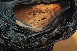 Policja zlikwidowała fabrykę narkotyków pod Tarnowem