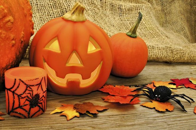 dynia na halloween