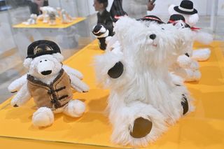 Zakopane ma nowego Białego Misia! Miasto wybrało oficjalną maskotkę, która będzie reprezentować region [GALERIA]