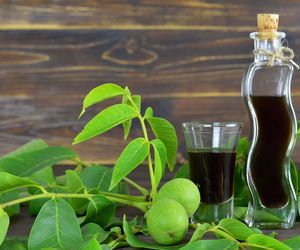 Nalewka orzechowa - jak zrobić? Podajemy dobry przepis na orzechówkę