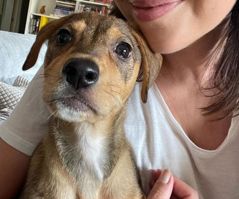 Aleksandra Kwaśniewska i pies