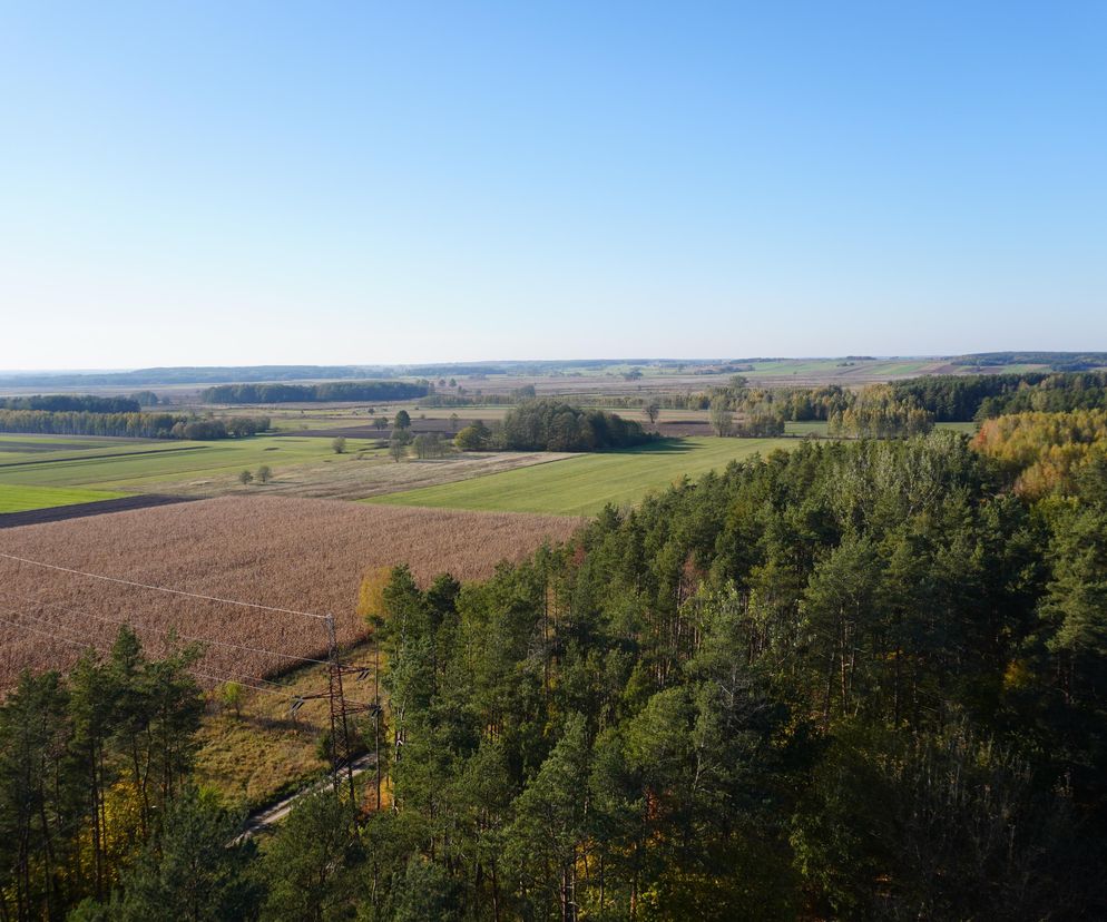 Byliśmy na najwyższej wieży w Podlaskiem. Co za widoki jesieni!