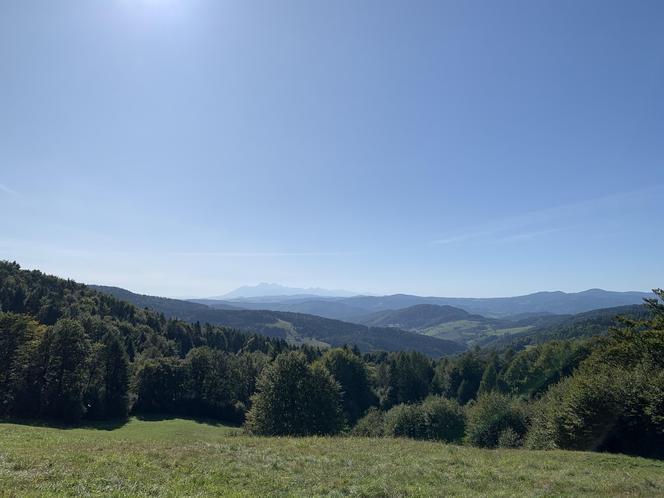 Bacówka Nad Wierchomlą w Beskidzie Sądeckim. To prawdziwy turystyczny hit!