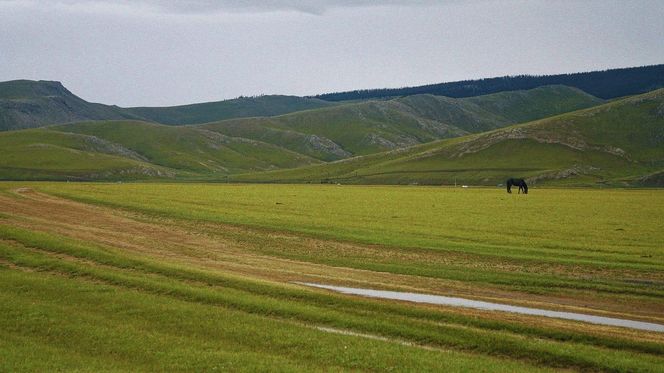 Mongolia, stepy i Karakorum