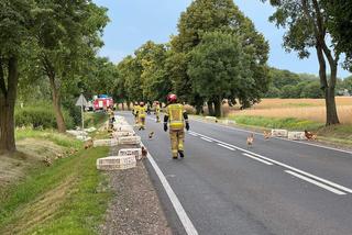 Wypadek w Świerczynku