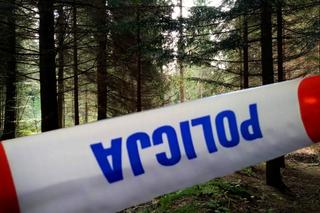 Ludzkie szczątki znalezione w lesie. Czy to zaginiona koszalinianka?