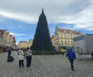 Choinka za prawie milion złotych stanęła we Wrocławiu. Tak wygląda luksusowe drzewko 