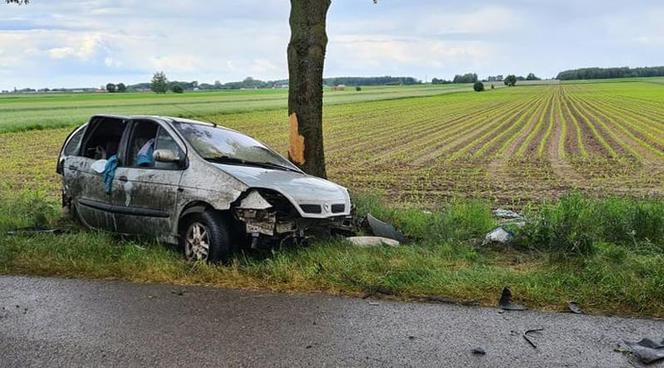 Jatwieź Duża. Wypadek: Kierowca renault rozbił się na drzewie [ZDJĘCIA]