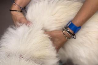 Diva walczy żeby nie umrzeć z głodu