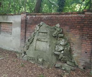 Opuszczony cmentarz w Opolu. Tu zatrzymał się czas