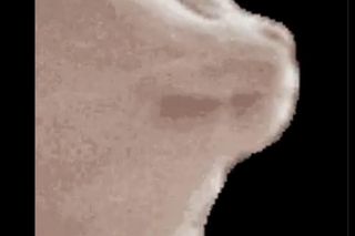 Debata prezydencka Super Expressu - MEMY