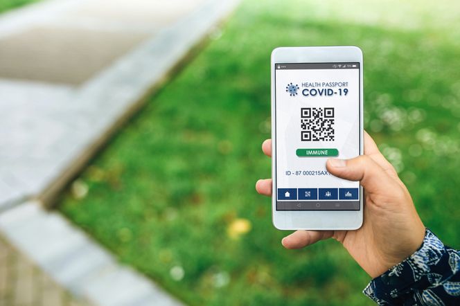 Osoba trzymająca smartfon z wyświetlonym unijnym certyfikatem covidowym Health Passport COVID-19 z kodem QR i zielonym przyciskiem IMMUNE, na tle zielonego, rozmytego trawnika. Dowiedz się więcej o cyfrowym zaświadczeniu na Poradnik Zdrowie.